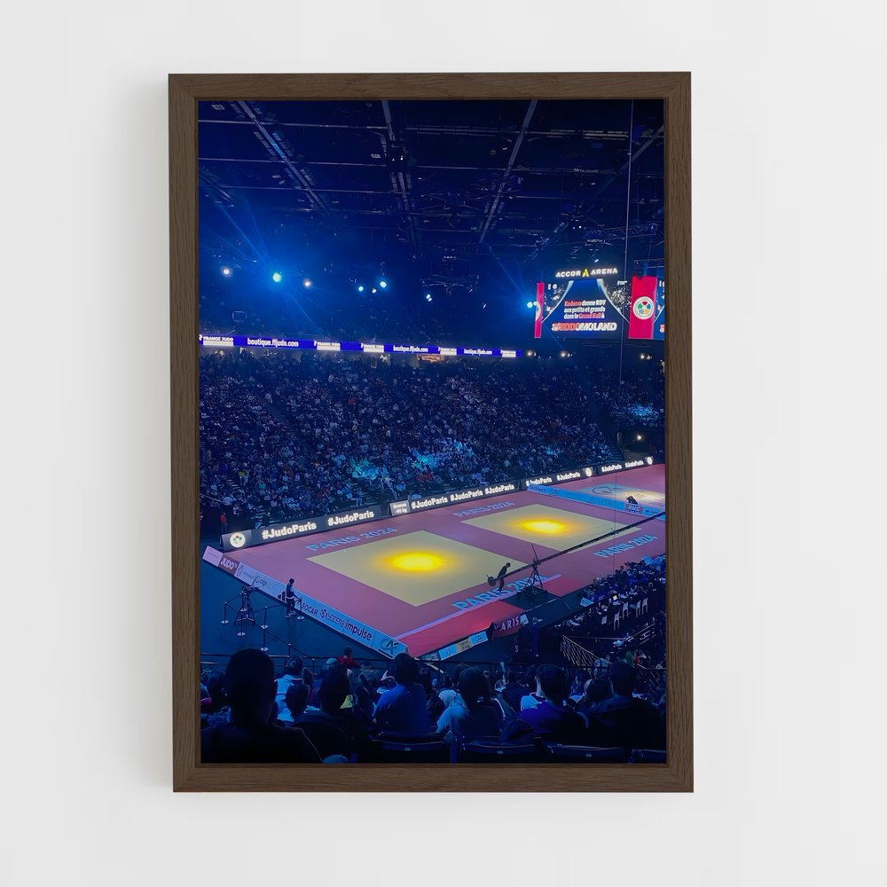 Poster Esprit de Judo (vue 5)